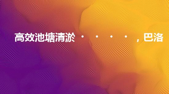 高效池塘清淤，巴洛仕設備助您一臂之力
